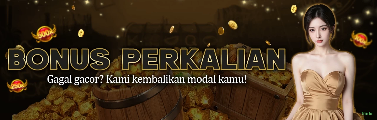 Suporte Login